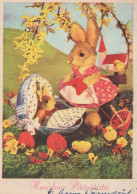 EASTER RABBIT Vintage Postcard CPSM #PBO515.GB - Pâques