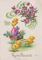 EASTER CHICKEN EGG Vintage Postcard CPSM #PBO579.GB - Pasqua