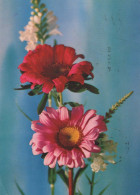 FLOWERS Vintage Postcard CPSM #PAS428.GB - Flores