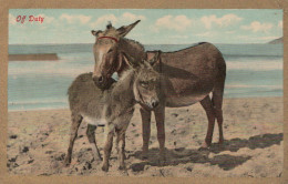 ÂNE Animaux Vintage Antique CPA Carte Postale #PAA208.FR - Burros