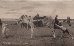 ÂNE Animaux Vintage Antique CPA Carte Postale #PAA114.FR - Esel