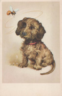 CANE Animale Vintage Cartolina CPA #PKE780.IT - Honden