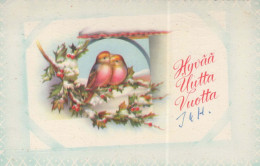 Buon Anno Natale UCCELLO Vintage Cartolina CPSMPF #PKD701.IT - New Year