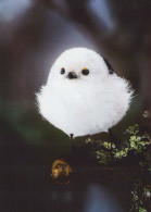 UCCELLO Animale Vintage Cartolina CPSM #PBR468.IT - Birds