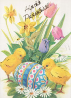 PASQUA POLLO UOVO Vintage Cartolina CPSM #PBO767.IT - Pascua