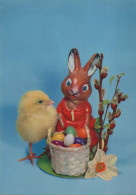 PASQUA CONIGLIO UOVO Vintage Cartolina CPSM #PBO393.IT - Easter