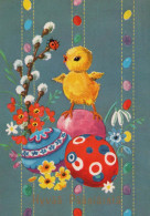 PASQUA POLLO Vintage Cartolina CPSM #PBO957.IT - Pâques