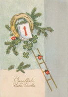 Buon Anno Natale CAVALLOSHOE Vintage Cartolina CPSM #PAT854.IT - Neujahr
