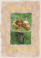 CANE Animale Vintage Cartolina CPSM #PAN726.IT - Dogs