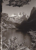 AK 210748 AUSTRIA - Gosausee Mit Dachstein - Andere & Zonder Classificatie