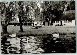 39394907 - Sternberg , Meckl - Sonstige & Ohne Zuordnung