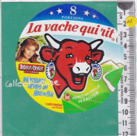 C1264 FROMAGE FONDU VACHE QUI RIT ASTERIX OBELIX CONTRE CESAR 8 PORTIONS 170 Gr  364 S - Cheese