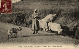 UNE VACHERE CANTALOUNE COIFFEE DE LA CATA JEANNE - Sonstige & Ohne Zuordnung