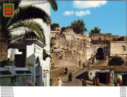 MAROC  TANGER  Entrée De La Kasbah Ancien Château De York - Tanger