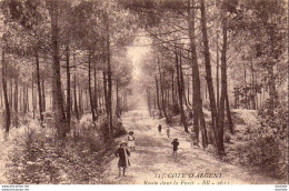 D33  ARCACHON  Route Dans La Forêt  ..... - Arcachon