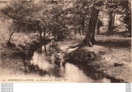 D33  ANDERNOS LES BAINS  Ruisseau Du Moulin - Andernos-les-Bains