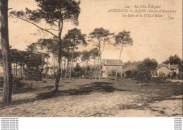 D33 ANDERNOS LES BAINS  Un Coin De La Ville D'Hiver - Andernos-les-Bains