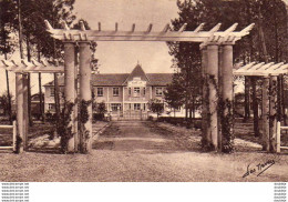 D33  ANDERNOS LES BAINS  École De Plein Air D'Andernos Le Pavillon Auriac Et Sa Pergola - Andernos-les-Bains