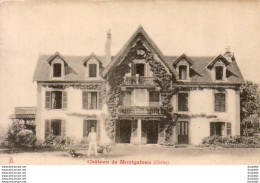 D61  Château De Montgateau ( Chalet  )  .........  CETON - Autres & Non Classés