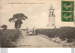 D33  BÉGADAN  Un Coin Du Vignoble De La Tour De By - Lesparre Medoc