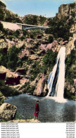 ALGERIE  TLEMCEN  Cascades De L'Oued Mefrouch El Ourit - Tlemcen