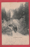 Petitval - Les Gorges Du Pichoux - 1901  ( Voir Verso ) - Autres & Non Classés