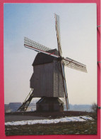 59 - Steenvoorde - Moulin Noordmeulen - Steenvoorde