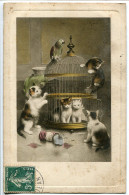 CPA Fantaisie Couleur Voyagé 1910 * Cinq CHATS Jouant Avec Une Cage à Oiseaux Perroquet Perché Dessus - Cats