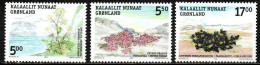 Grönland 2004 - Mi.Nr. 418 - 420 - Postfrisch MNH - Pflanzen Plants - Otros & Sin Clasificación