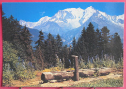 74 - Massif Du Mont Blanc - Un Abreuvoir En Bois - Otros & Sin Clasificación