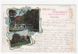 39028507 - Dresden-Neustadt Mit Fischhaus Im Koenig Albert-Park Gelaufen Von 1904 Kleiner Knick Unten Links, Leicht Fle - Dresden