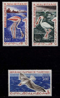 Mauretanien - Mauretania Vögel Birds Tiere ** 1961  Mi. 178-180  (9324 - Albatros & Stormvogels