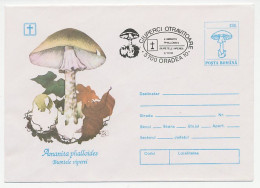 Postal Stationery Romania 1994 Mushroom - Hongos