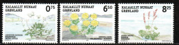 Grönland 2005 - Mi.Nr. 454 - 456 - Postfrisch MNH - Pflanzen Plants - Other & Unclassified