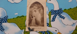Eeuwige Geloften - Zuster Paula Maria - Klooster Veltem 28/08/1947 - Devotion Images