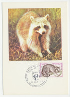 Maximum Card France 1973 Raccoon - Autres & Non Classés