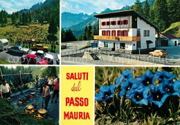 73219403 Passo Maurio Gebirgspass Dolomiten Berghotel Alpenflora Blauer Enzian P - Otros & Sin Clasificación
