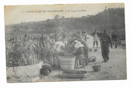 CPA écrite En 1917 - Vendanges En Champagne - Le Triage Du Raisin - Belle Animation - - Other & Unclassified