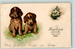 39282207 - Dachsbracken Welpen Winter Neujahr - Hunde