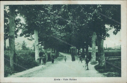 Cs145 Cartolina Airola Viale Moiano Provincia Di Benevento Campania 1935 - Benevento