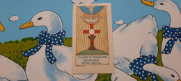 Eeuwige Geloften - Zuster Marie Jozefa- Norma Raeymaekers- Klooster Augustinessen - Ukkelk 19/10/1946 - Santini
