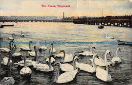 R043247 The Swans. Weymouth. J. Guppy. 1911 - Wereld