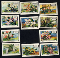 Meurisse - Ca 1930 - 110 - Les Orchidées, Orchids - Serie (no 9 Missing) - Other & Unclassified