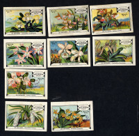 Meurisse - Ca 1930 - 110 - Les Orchidées, Orchids - Serie (3 Missing) - Andere & Zonder Classificatie