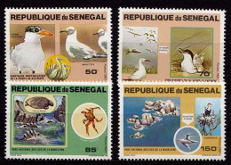 Senegal Kompl. Set Vögel Birds Wildlife 1981  Mi. 741-744  (9604 - Albatrosse & Sturmvögel