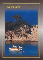 AK 210781 FRANCE - La Corse - Other & Unclassified