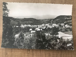 NEUVEGLISE Vue Générale - Autres & Non Classés