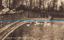 R043775 Feeding The Swans At Hampton Court Palace - Welt