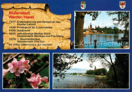 73216661 Werder Havel Kirschblueten Panorama  Werder Havel - Other & Unclassified