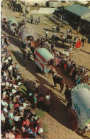 34 -  ANDALUCIA - Procession Typique Du Rocio - Andere & Zonder Classificatie